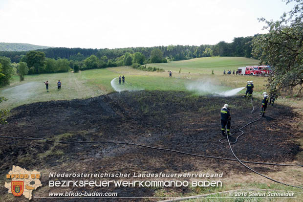 20180819 Ausgedehnter Flurbrand in unmitelbarer Waldnähe bei Lindabrunn Richtung Aigen  Foto: © Stefan Schneider