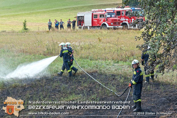 20180819 Ausgedehnter Flurbrand in unmitelbarer Waldnähe bei Lindabrunn Richtung Aigen  Foto: © Stefan Schneider