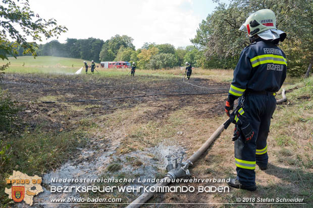 20180819 Ausgedehnter Flurbrand in unmitelbarer Waldnähe bei Lindabrunn Richtung Aigen  Foto: © Stefan Schneider