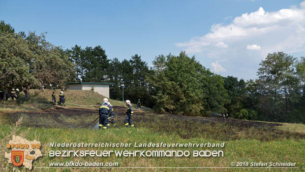 20180819 Ausgedehnter Flurbrand in unmitelbarer Waldnähe bei Lindabrunn Richtung Aigen  Foto: © Stefan Schneider