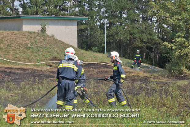 20180819 Ausgedehnter Flurbrand in unmitelbarer Waldnähe bei Lindabrunn Richtung Aigen  Foto: © Stefan Schneider