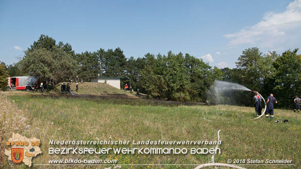 20180819 Ausgedehnter Flurbrand in unmitelbarer Waldnähe bei Lindabrunn Richtung Aigen  Foto: © Stefan Schneider