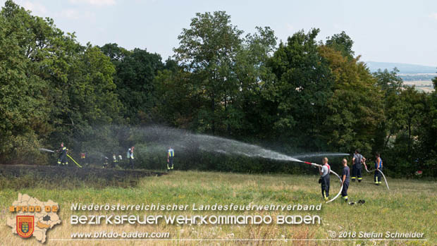 20180819 Ausgedehnter Flurbrand in unmitelbarer Waldnähe bei Lindabrunn Richtung Aigen  Foto: © Stefan Schneider