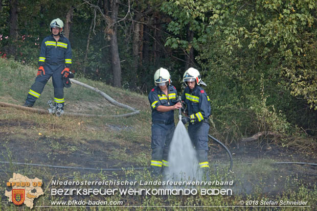 20180819 Ausgedehnter Flurbrand in unmitelbarer Waldnähe bei Lindabrunn Richtung Aigen  Foto: © Stefan Schneider
