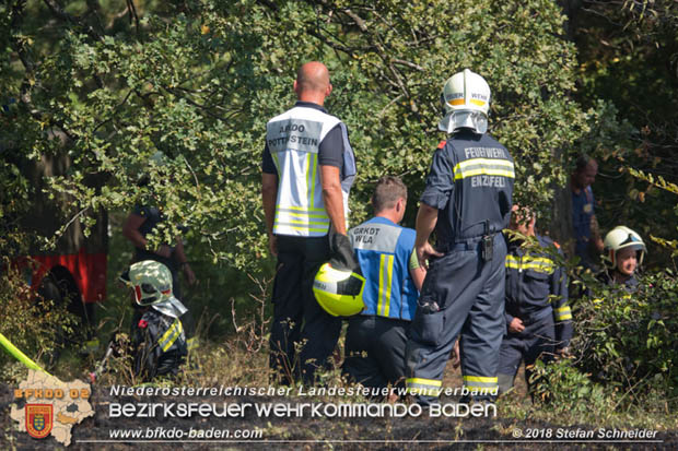 20180819 Ausgedehnter Flurbrand in unmitelbarer Waldnähe bei Lindabrunn Richtung Aigen  Foto: © Stefan Schneider