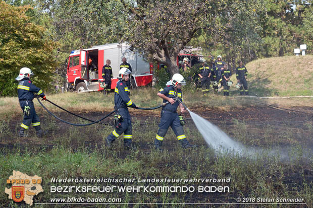 20180819 Ausgedehnter Flurbrand in unmitelbarer Waldnähe bei Lindabrunn Richtung Aigen  Foto: © Stefan Schneider