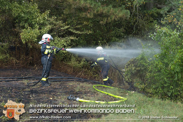 20180819 Ausgedehnter Flurbrand in unmitelbarer Waldnähe bei Lindabrunn Richtung Aigen  Foto: © Stefan Schneider