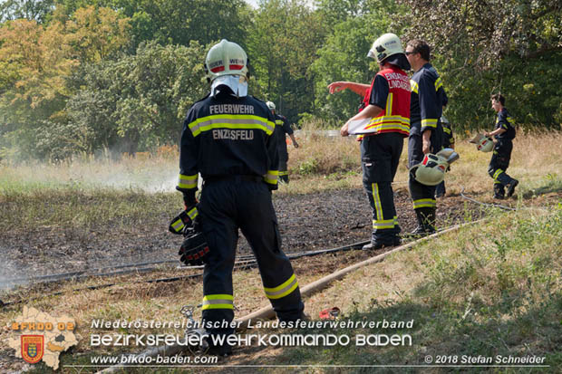 20180819 Ausgedehnter Flurbrand in unmitelbarer Waldnähe bei Lindabrunn Richtung Aigen  Foto: © Stefan Schneider