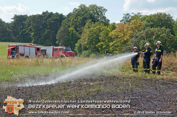 20180819 Ausgedehnter Flurbrand in unmitelbarer Waldnähe bei Lindabrunn Richtung Aigen  Foto: © Stefan Schneider