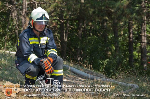 20180819 Ausgedehnter Flurbrand in unmitelbarer Waldnähe bei Lindabrunn Richtung Aigen Foto: © Stefan Schneider