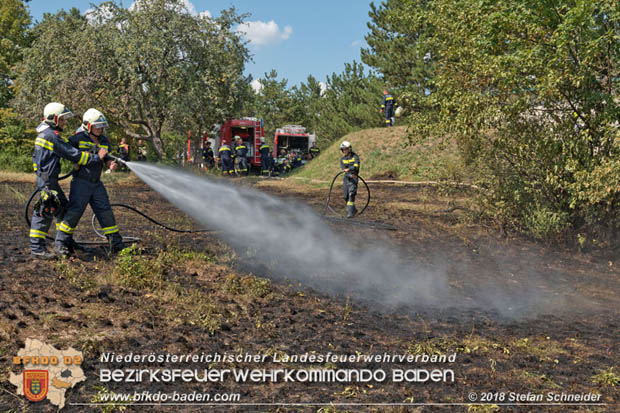 20180819 Ausgedehnter Flurbrand in unmitelbarer Waldnähe bei Lindabrunn Richtung Aigen  Foto: © Stefan Schneider