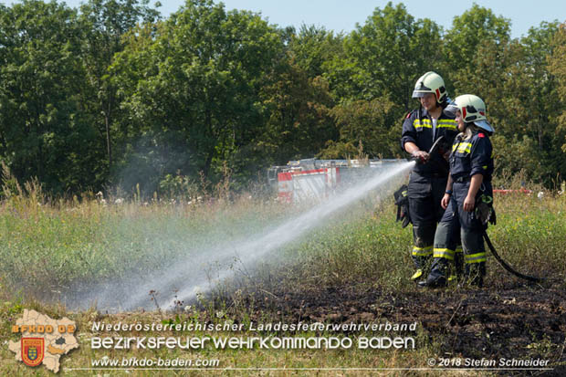 20180819 Ausgedehnter Flurbrand in unmitelbarer Waldnähe bei Lindabrunn Richtung Aigen  Foto: © Stefan Schneider