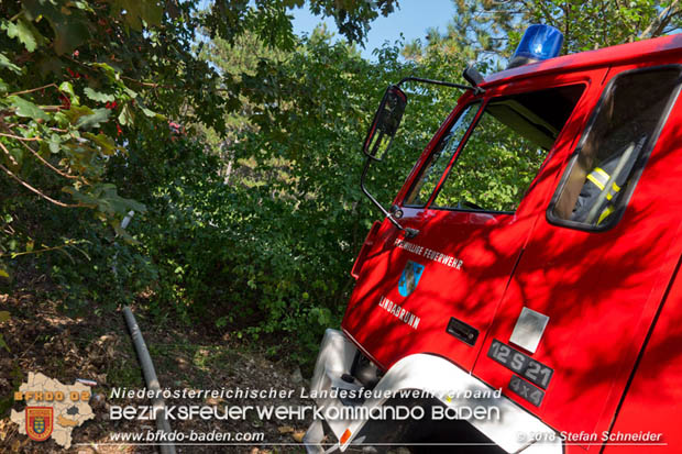 20180819 Ausgedehnter Flurbrand in unmitelbarer Waldnähe bei Lindabrunn Richtung Aigen  Foto: © Stefan Schneider