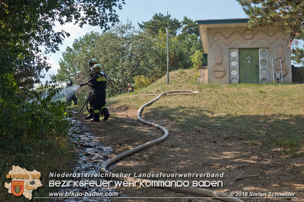 20180819 Ausgedehnter Flurbrand in unmitelbarer Waldnähe bei Lindabrunn Richtung Aigen  Foto: © Stefan Schneider