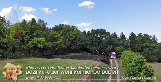 20180819 Ausgedehnter Flurbrand in unmitelbarer Waldnähe bei Lindabrunn Richtung Aigen  Foto: © Stefan Schneider