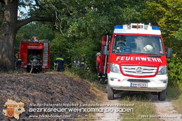 20180819 Ausgedehnter Flurbrand in unmitelbarer Waldnähe bei Lindabrunn Richtung Aigen  Foto: © Stefan Schneider