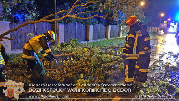 20180924 Sturmtief "Fabiene" sorgte für einige Feuerwehreinsätze im Bezirk Baden  Foto: © Stefan Schneider