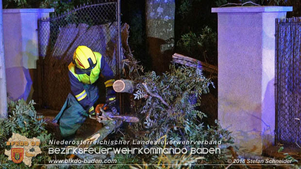 20180924 Sturmtief "Fabiene" sorgte für einige Feuerwehreinsätze im Bezirk Baden  Foto: © Stefan Schneider