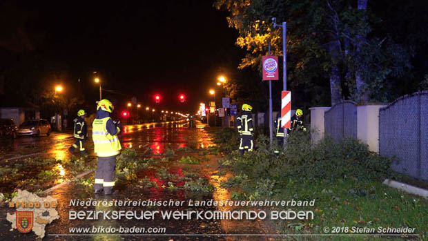 20180924 Sturmtief "Fabiene" sorgte für einige Feuerwehreinsätze im Bezirk Baden  Foto: © Stefan Schneider
