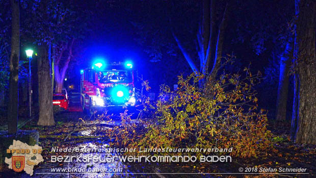 20180924 Sturmtief "Fabiene" sorgte für einige Feuerwehreinsätze im Bezirk Baden  Foto: © Stefan Schneider