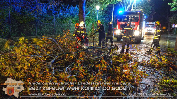 20180924 Sturmtief "Fabiene" sorgte für einige Feuerwehreinsätze im Bezirk Baden  Foto: © Stefan Schneider