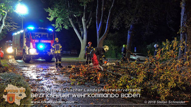 20180924 Sturmtief "Fabiene" sorgte für einige Feuerwehreinsätze im Bezirk Baden  Foto: © Stefan Schneider