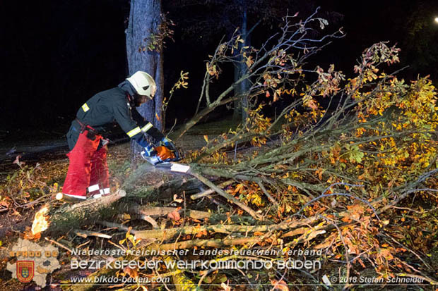 20180924 Sturmtief "Fabiene" sorgte für einige Feuerwehreinsätze im Bezirk Baden  Foto: © Stefan Schneider