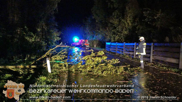 20180924 Sturmtief "Fabiene" sorgte für einige Feuerwehreinsätze im Bezirk Baden  Foto: © Stefan Schneider