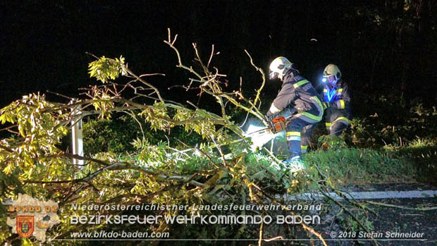 20180924 Sturmtief "Fabiene" sorgte für einige Feuerwehreinsätze im Bezirk Baden  Foto: © Stefan Schneider