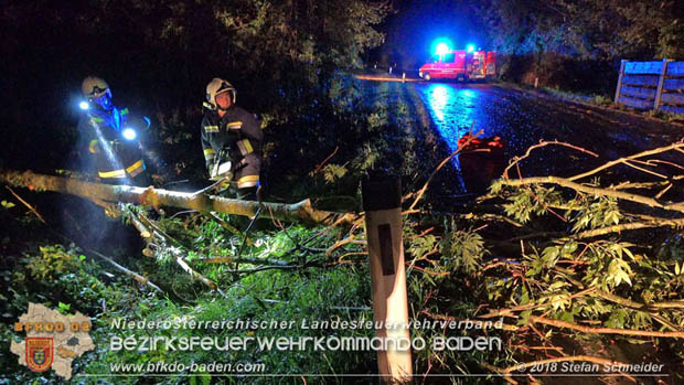 20180924 Sturmtief "Fabiene" sorgte für einige Feuerwehreinsätze im Bezirk Baden  Foto: © Stefan Schneider