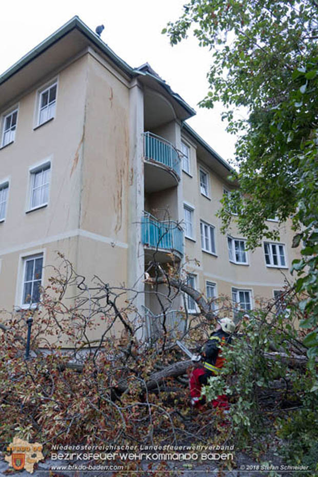 20180924 Sturmtief "Fabiene" sorgte für einige Feuerwehreinsätze im Bezirk Baden  Foto: © Stefan Schneider