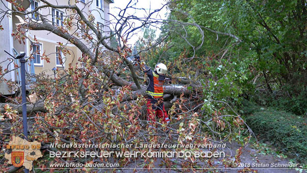 20180924 Sturmtief "Fabiene" sorgte für einige Feuerwehreinsätze im Bezirk Baden  Foto: © Stefan Schneider