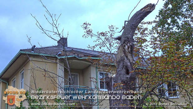 20180924 Sturmtief "Fabiene" sorgte für einige Feuerwehreinsätze im Bezirk Baden  Foto: © Stefan Schneider