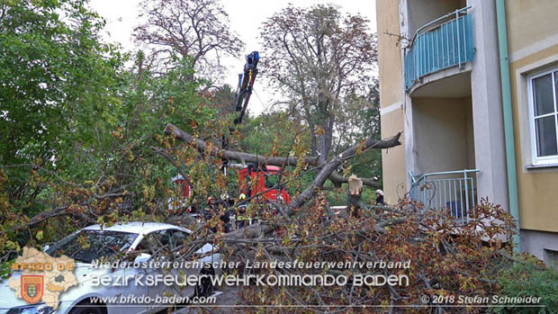 20180924 Sturmtief "Fabiene" sorgte für einige Feuerwehreinsätze im Bezirk Baden  Foto: © Stefan Schneider