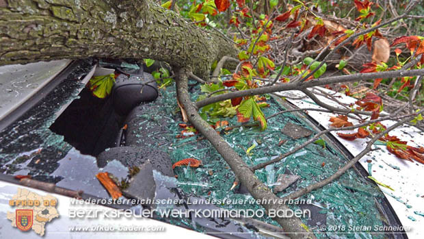 20180924 Sturmtief "Fabiene" sorgte für einige Feuerwehreinsätze im Bezirk Baden  Foto: © Stefan Schneider