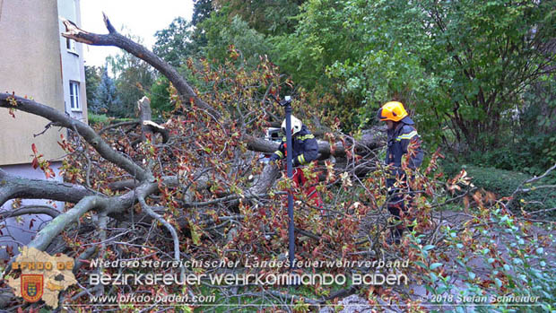 20180924 Sturmtief "Fabiene" sorgte für einige Feuerwehreinsätze im Bezirk Baden  Foto: © Stefan Schneider