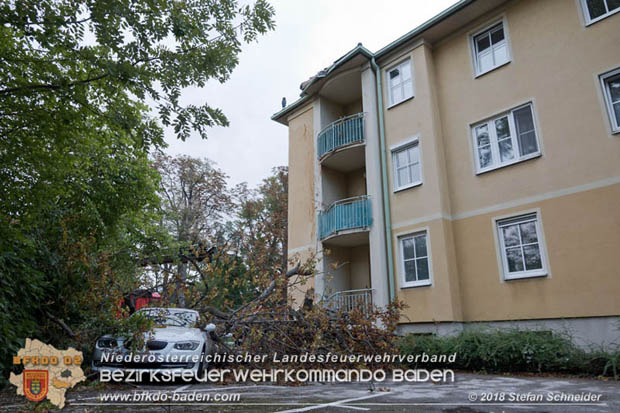 20180924 Sturmtief "Fabiene" sorgte für einige Feuerwehreinsätze im Bezirk Baden  Foto: © Stefan Schneider
