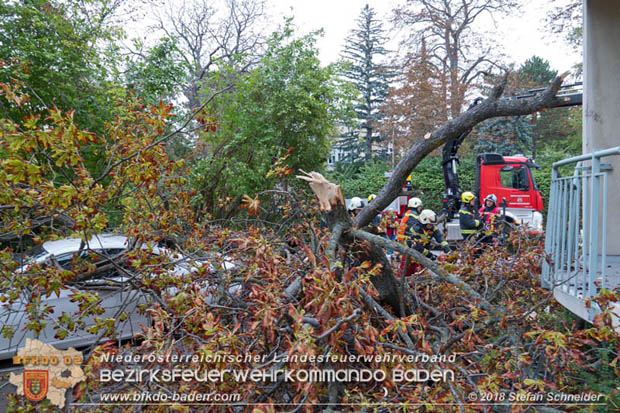 20180924 Sturmtief "Fabiene" sorgte für einige Feuerwehreinsätze im Bezirk Baden  Foto: © Stefan Schneider