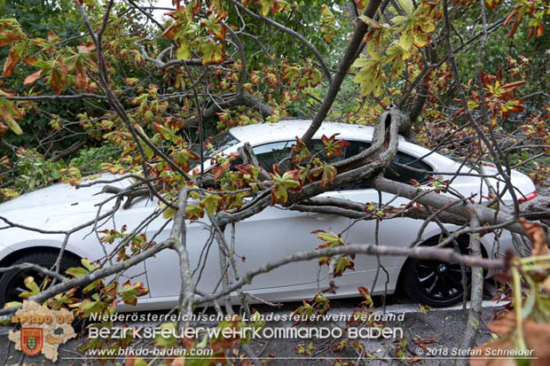 20180924 Sturmtief "Fabiene" sorgte für einige Feuerwehreinsätze im Bezirk Baden  Foto: © Stefan Schneider