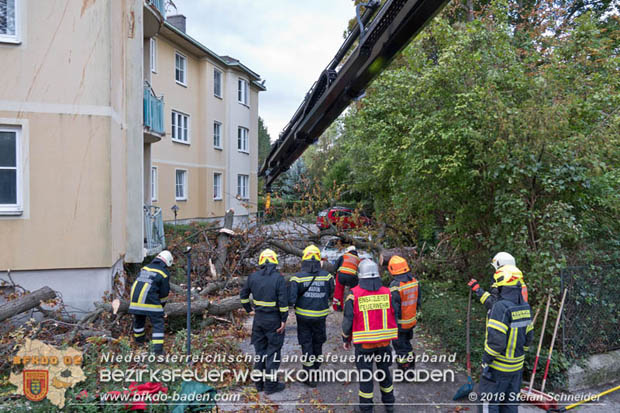 20180924 Sturmtief "Fabiene" sorgte für einige Feuerwehreinsätze im Bezirk Baden  Foto: © Stefan Schneider