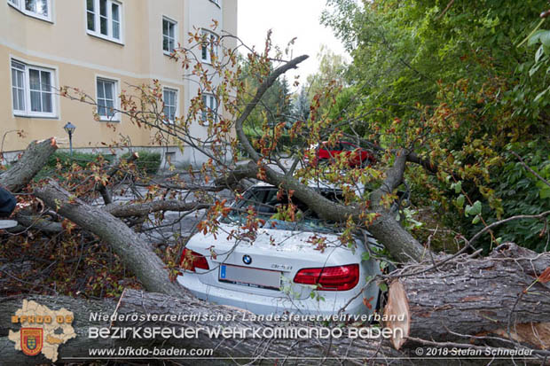 20180924 Sturmtief "Fabiene" sorgte für einige Feuerwehreinsätze im Bezirk Baden  Foto: © Stefan Schneider