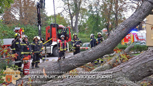 20180924 Sturmtief "Fabiene" sorgte für einige Feuerwehreinsätze im Bezirk Baden  Foto: © Stefan Schneider