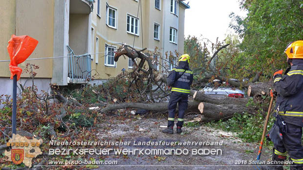 20180924 Sturmtief "Fabiene" sorgte für einige Feuerwehreinsätze im Bezirk Baden  Foto: © Stefan Schneider