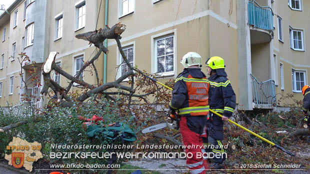 20180924 Sturmtief "Fabiene" sorgte für einige Feuerwehreinsätze im Bezirk Baden  Foto: © Stefan Schneider