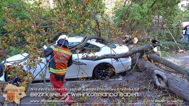 20180924 Sturmtief "Fabiene" sorgte für einige Feuerwehreinsätze im Bezirk Baden  Foto: © Stefan Schneider