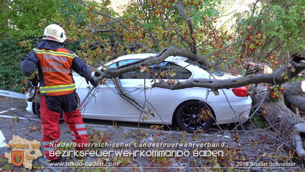 20180924 Sturmtief "Fabiene" sorgte für einige Feuerwehreinsätze im Bezirk Baden  Foto: © Stefan Schneider