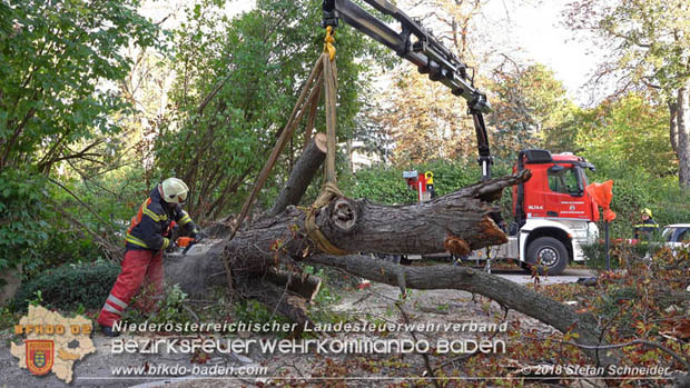 20180924 Sturmtief "Fabiene" sorgte für einige Feuerwehreinsätze im Bezirk Baden  Foto: © Stefan Schneider