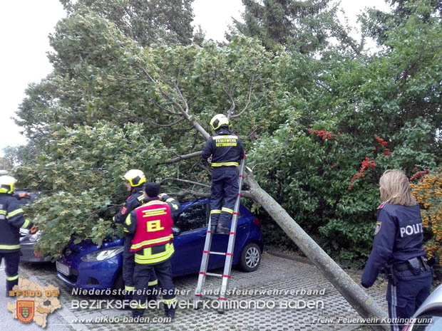 20180924 Sturmtief "Fabiene" sorgte für einige Feuerwehreinsätze im Bezirk Baden  Foto: © FF Kottingbrunn