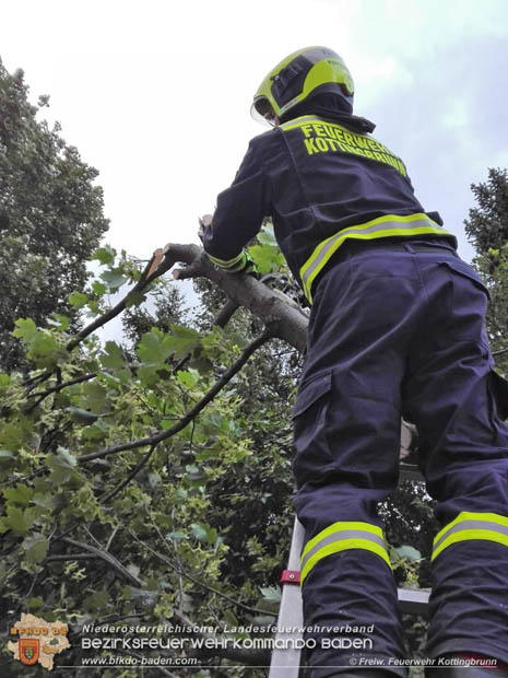 20180924 Sturmtief "Fabiene" sorgte für einige Feuerwehreinsätze im Bezirk Baden  Foto: © FF Kottingbrunn