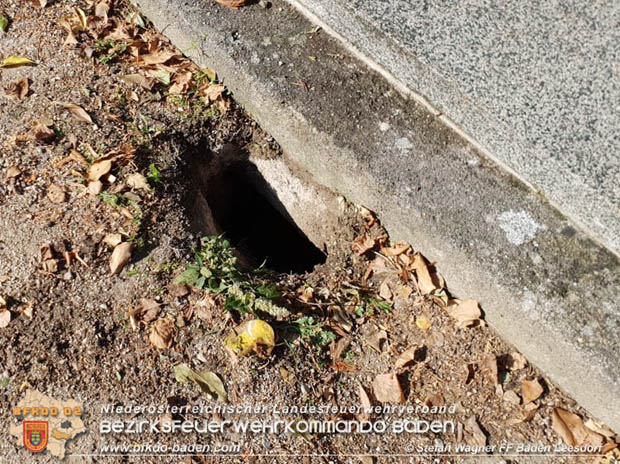 20180928 Person in Notlage am Badener Stadtfriedhof Foto: © Stefan Wagner FF Baden-Leesdorf 20180928 Person in Notlage am Badener Stadtfriedhof Foto: © Stefan Wagner FF Baden-Leesdorf